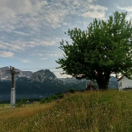 Studio Apartment Pitomine Zabljak  Exterior photo
